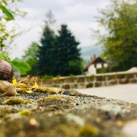 Penzion Sloup Sloup  Dış mekan fotoğraf